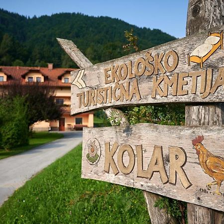 Tourist farm Kolar Villa Ljubno Dış mekan fotoğraf