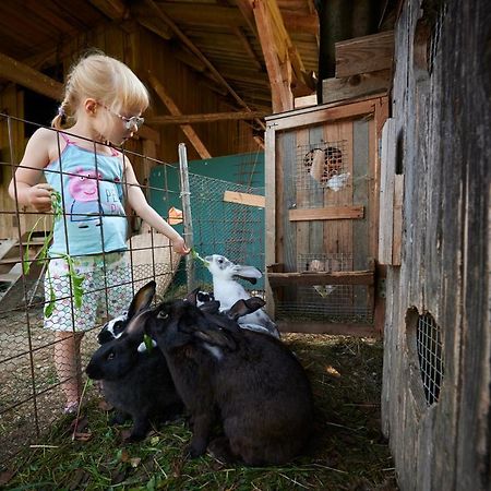 Tourist farm Kolar Villa Ljubno Dış mekan fotoğraf