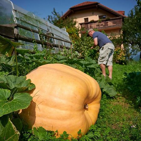 Tourist farm Kolar Villa Ljubno Dış mekan fotoğraf