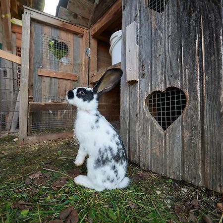 Tourist farm Kolar Villa Ljubno Dış mekan fotoğraf