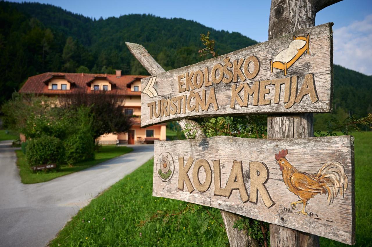 Tourist farm Kolar Villa Ljubno Dış mekan fotoğraf