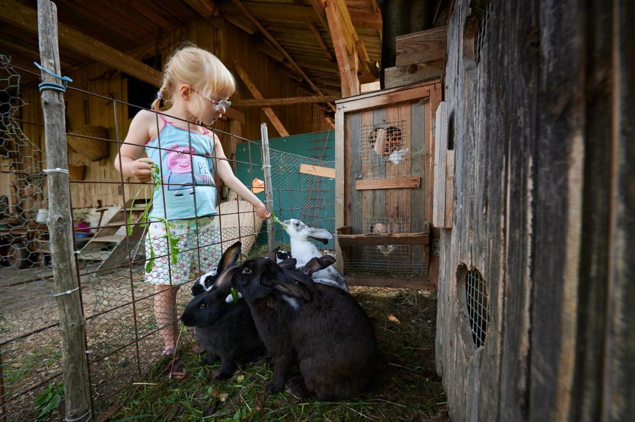 Tourist farm Kolar Villa Ljubno Dış mekan fotoğraf