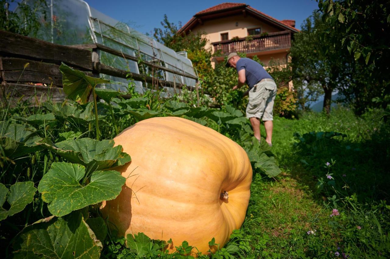 Tourist farm Kolar Villa Ljubno Dış mekan fotoğraf
