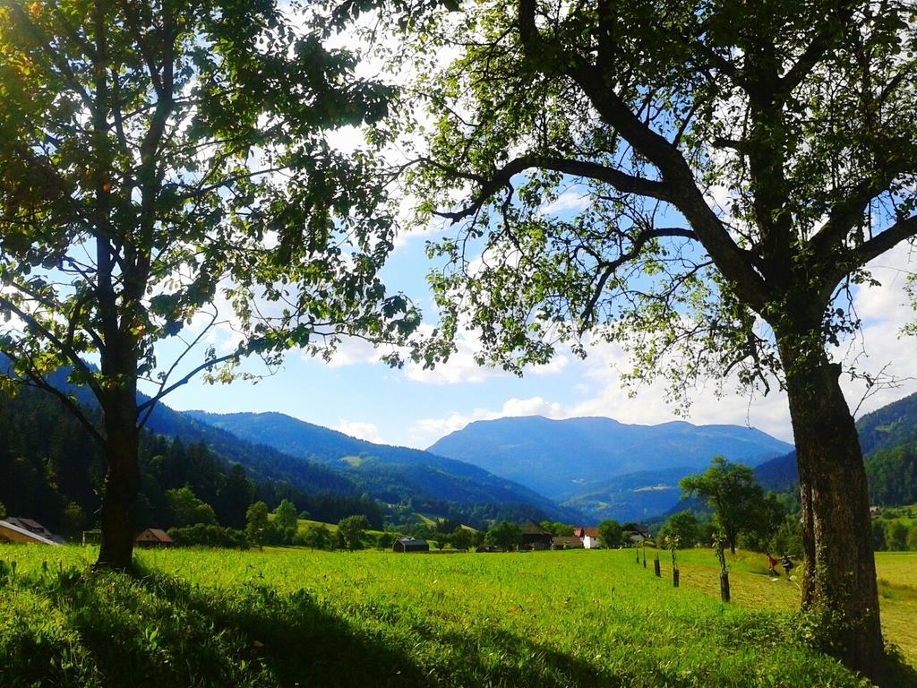 Tourist farm Kolar Villa Ljubno Dış mekan fotoğraf