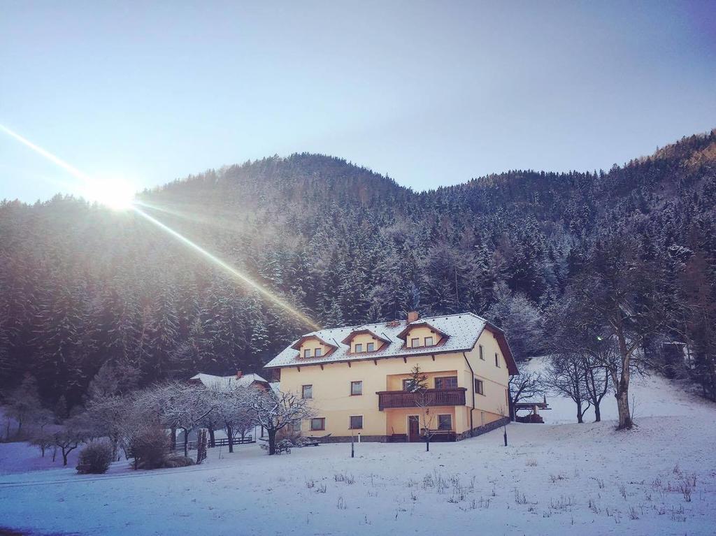 Tourist farm Kolar Villa Ljubno Dış mekan fotoğraf