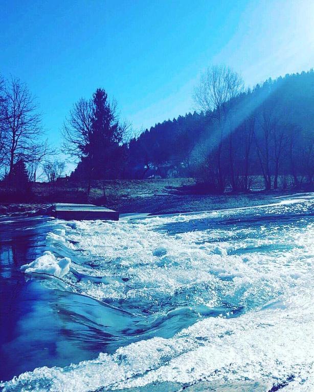 Tourist farm Kolar Villa Ljubno Dış mekan fotoğraf